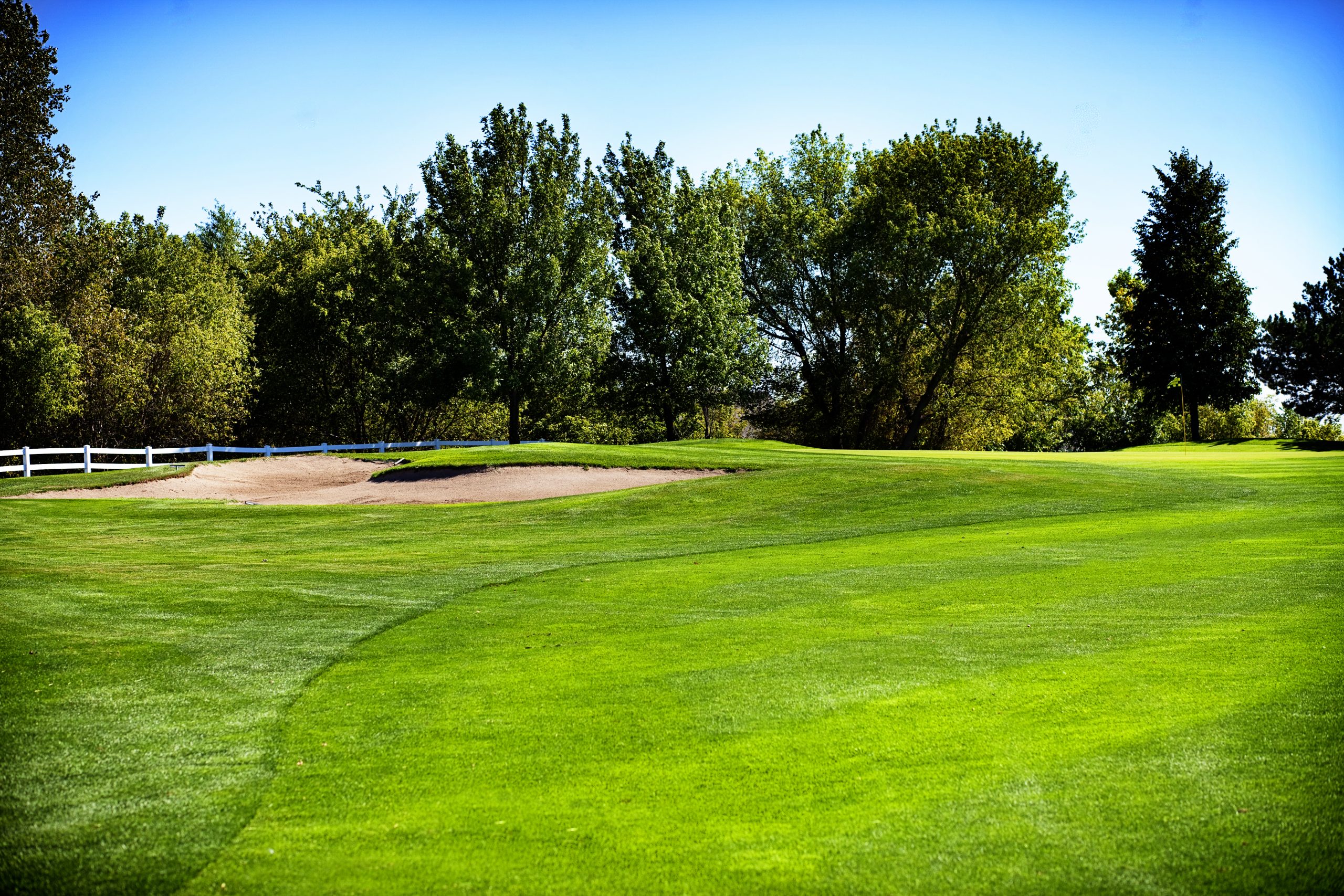 Course photo for Cedar Creek Golf Course